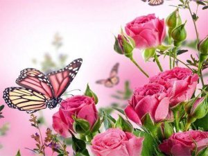 Enchanted Wings Jigsaw Collection