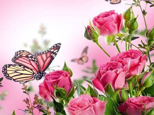 Enchanted Wings Jigsaw Collection