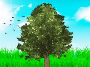 My Tree Online Game - Puzzle Game