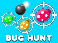 Bug Hunt 1 Online Puzzle Game