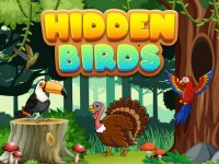 Hidden Birds Puzzle Game - Observation Puzzle Game