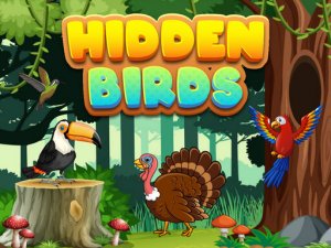 Hidden Birds Puzzle Game - Observation Puzzle Game