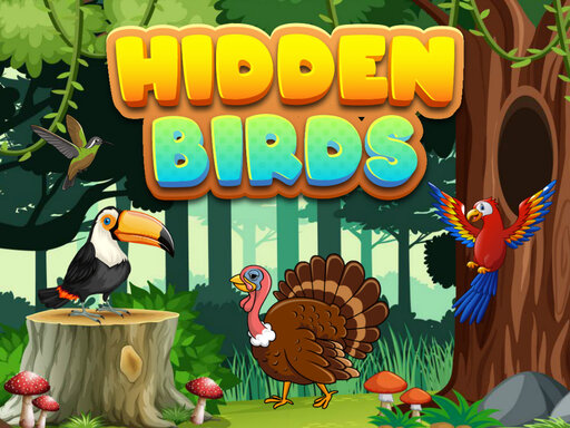 Hidden Birds Observation Puzzle