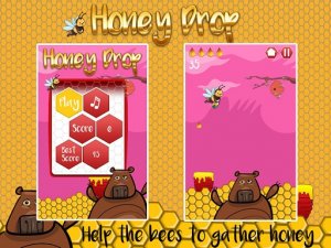 HoneyDrop Puzzle Game