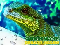 Chinese Water Dragon Jigsaw Puzzle Online Game - Puzzle Game