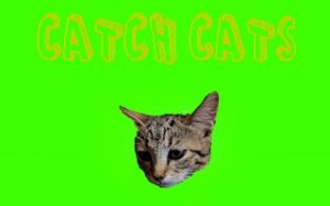 Feline Frenzy Arcade Game