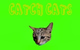 Catch Cats Online Game - Free Arcade Fun Arcade Game