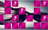 Aerial Silk Artist Memory Match Puzzle Game Online