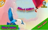 Bird Blitz: Balloon Survival
