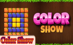 Color Show: Pattern Match Puzzle - Ludoryx free online game
