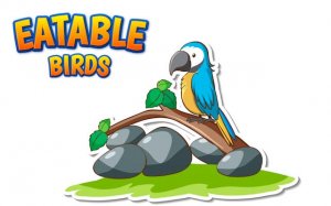 Eatable Birds Survival Game
