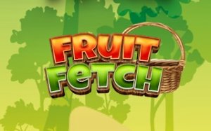 Fruit Catch Arcade