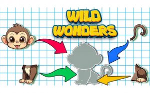Wild Wonders: Animal Puzzle Game Online - Ludoryx free online game