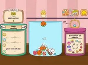 Confection Connection Challenge